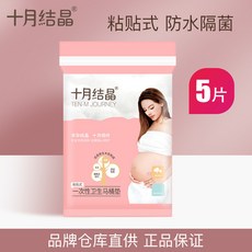 일회용 변기 패드 임산부 방석지 산모 여행용 변기 방수기 패드 10매 세트, 5매룩, 1개
