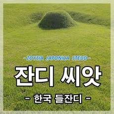 한국잔디씨앗15g-2개(2평방미터용)잔디씨 산소 정원 공원 묘지 골프장용, 2개