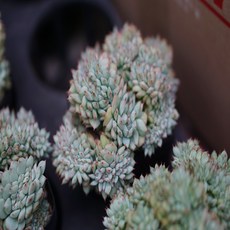 8e113e54cdf4ab1b4c00488fd64e7060dfbb4ac28e3e2276d1d9cf21e363.jpg