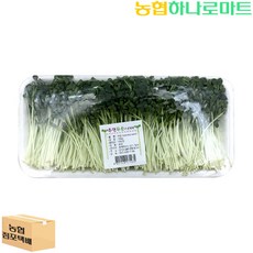 무순/150g/팩