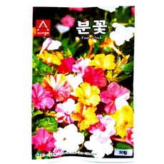 아시아종묘 꽃씨앗 분꽃(30립), 1개