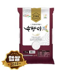 현대농산 수향미 골든퀸3호 쌀 4kg 단일품종 소포장쌀, 1개