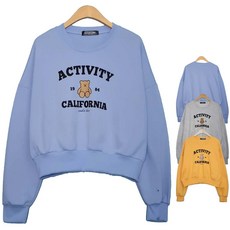 뉴액티비티가든대여