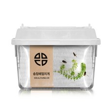 송장헤엄치게