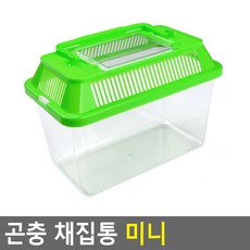 곤충채집함