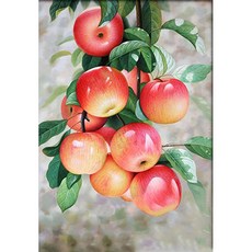 홍사과보석십자수