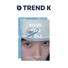 웬디 앨범 미니2집 [Wish You Hell] 포토북 WENDY 위시유헬 Photobook Ver(미개봉)