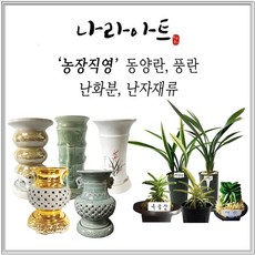 나라아트 풍란 동양란 화분 모음, 74. 도자기낙소분(중) 2개