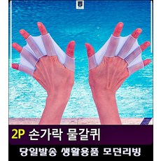 농구개인레슨대구