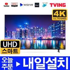 lgtv65인치