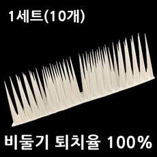 [100% 퇴치] 피제닉 비둘기 퇴치 버드스파이크, 1세트