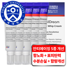 연세생활건강 멜드림 5중 안티에이징 스킨부스터 데일리 모이스트 휩 크림, 5개, 40ml - 프리메라맨