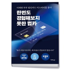 한번도 경험해보지 못한 법카