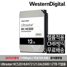 WD 울트라스타 HDD, 12TB, DC HC520 SATA3