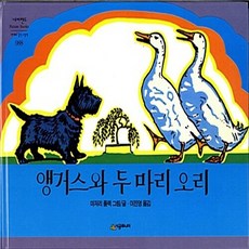 앵거스이론