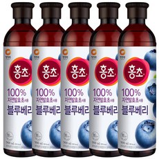 자연발효 식초 홍초 블루베리, 900ml, 5개