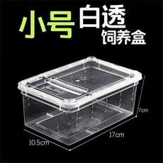 비바리움 뚜껑 파충류 애완 동물 제품 탱크 곤충 거미 거북이 도마뱀 아크릴 투명 사육 상자, 1개