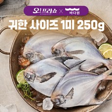 은빛수산