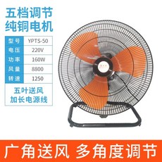 보본선풍기