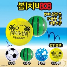808수박비치볼