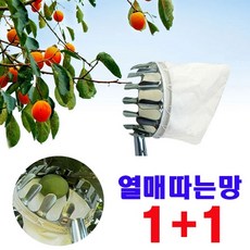 열매마켓