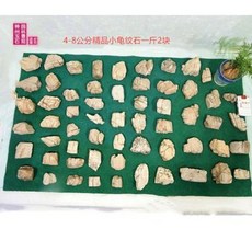 수석 명석 관상용 돌 알짜 거북문석 분재 어항 조경 소형 자연석 가산원 임태호 풍경석 손잡이 임구석 놀이