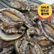 싱싱하게 살아서 가는 완도 활전복 산소포장 당일수확 산지직송 육수용 실속전복 꼬마전복 라면전복 구이용 1kg, 1개, 16~19미