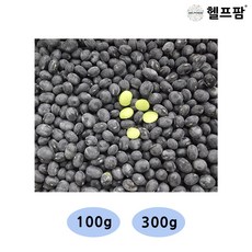 헬프팜 새바람 100g 서리태 검은콩 속청 식용, 1개