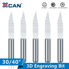 루터평비트40