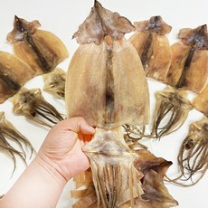 국내산 동해안 영덕 마른오징어 건오징어, 1개, 대 750g 10미