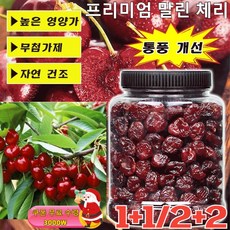 1+1/2+2 [건강 간식] 0지방 프리미엄 말린 체리 무설탕 500g, 2캔 총500g