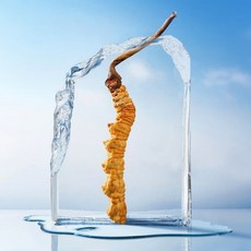 아의사 중국 동충하초 효능 5g, 1개