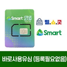 필리핀 유심 바로사용가능 심카드 스마트 SMART USIM, 매일2기가+공유6기가, 7일