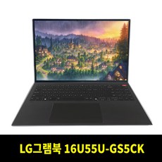 LG전자 2026 그램북 AI 16 라이젠 AI 400 시리즈 방문설치, 타이탄 블랙, 16U55U-GS5CK, 256GB, 16GB, WIN11 Home
