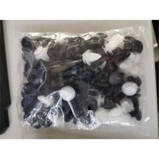 키즈범퍼카대여