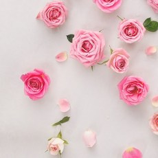 68121700de87db19d23d68cd8b2e71e83c4d0c452fab843c8a6333cd0c96.jpg
