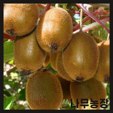 de7c2aeddaaa5dda01d457f0f01653ae5dc4e28d733f3a4f2118932dc5f8.jpg