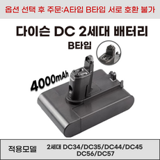 호환 다이슨 DC시리즈 청소기 배터리 A 타입 B 타입 DC31 DC34 DC35 DC44 DC45 DC56 DC57, B타입, 1개