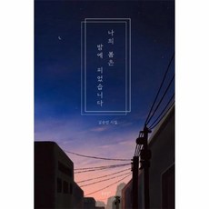 나의 봄은 밤에 피었습니다, 상품명