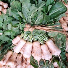 맛있는 황토 알타리무 1단 (1.2kg 내외), 1개