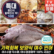 민어11마리