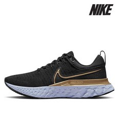 나이키인피니티런