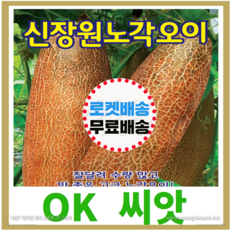 [OK씨앗] [신장원노각오이] 노각씨앗 종자(오케이씨앗), 1개