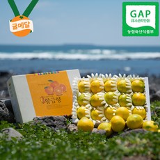 [GAP인증/비품특가] 제주 황금향 로얄과 사이즈 13brix 고당도, 실속형 3kg (중과/15~18과)