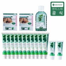 덴티스테치약플러스화이트16종
