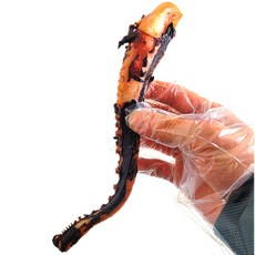 구운 가문어통족 1KG 버터 오징어 오징어버터구이 대왕 문어다리, 1개