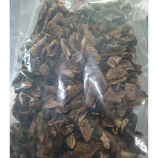 자연산 능이버섯 냉동, 1개, 자연산 능이버섯 B급 냉동 1kg