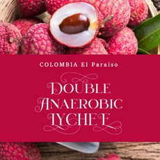 콜롬비아엘파라이소리치