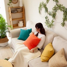cushionstory