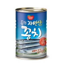 꽁치통조림